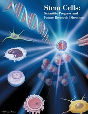Stem Cells