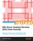 Instant Microsoft SQL Server Analysis Services 2012 Cube Security