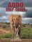 Addo Self-Drive