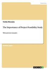 The Importance of Project Feasibility Study