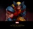 Marvel: Collecting the Universe