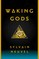 Waking Gods
