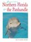 Northern Florida: Jacksonville, St. Augustine, Pensacola, Tallahassee & Beyond