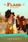 Flash