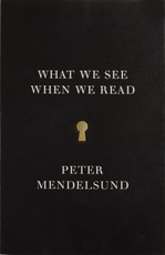 What We See When We Read
