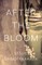 After the Bloom