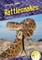 Rattlesnakes