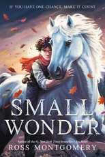 Small Wonder