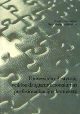 Universiteto dėstytojų veiklos daugiafunkcionalumas profesionalizacijos kontekste