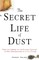 The Secret Life of Dust