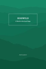 Hogwild