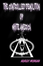 The Controlled Demolition of White America