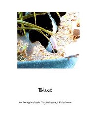 Blue an imagine book