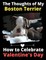 The Thoughts of My Boston Terrier