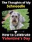 The Thoughts of My Schnoodle