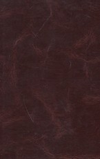 Antroji lytis (1996)