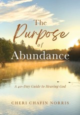 The Purpose of Abundance