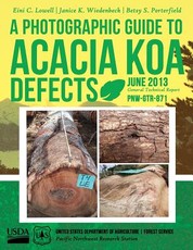 A Photographic Guide to Acacia koa Defects
