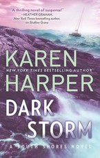 Harper, K: Dark Storm
