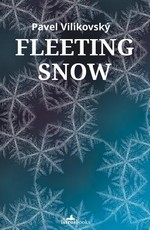 Fleeting Snow