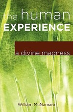 The Human Experience