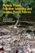 Holistic Plastic Pollution Solutions and Science-Based Policies
