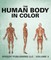 The Human Body In Color Volume 3