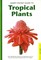 Handy Pocket Guide to Tropical Plants (el. knyga)
