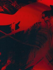 Mirror - Collaborative Pictures by Merrick d'Arcy Irvine x Julia Bajanova