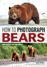 How to Photograph Bears