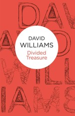 Divided Treasure (A Mark Treasure mystery) (Bello)