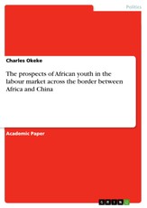The prospects of African youth in the labour market across the border between Africa and China