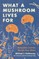 What a Mushroom Lives for