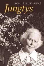 Jungtys