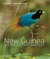 New Guinea