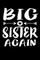 Big Sister Again
