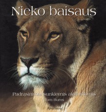 Nieko baisaus. Padrąsinimai sunkiomis akimirkomis