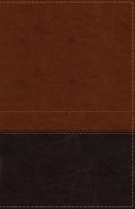 NIV, Reference Bible, Giant Print, Imitation Leather, Brown, Red Letter Edition, Indexed, Comfort Print