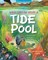 What Goes on Inside a Tide Pool