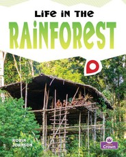 Life in the Rainforest