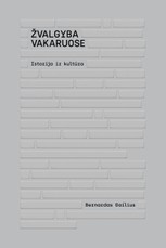 Žvalgyba Vakaruose. Istorija ir kultūra