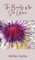 The Beauty of the Sea Urchin