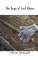 The Saga of Lost Gloves