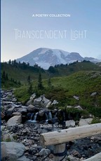 Transcendent Light a collection of feelings that transpired through healing