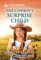 The Cowboy's Surprise Child