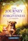 The Journey to Forgiveness