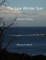 The Low Winter Sun