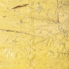 David Hammons