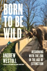 Born to Be Wild