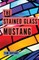 The Stained Glass Mustang